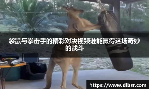 袋鼠与拳击手的精彩对决视频谁能赢得这场奇妙的战斗